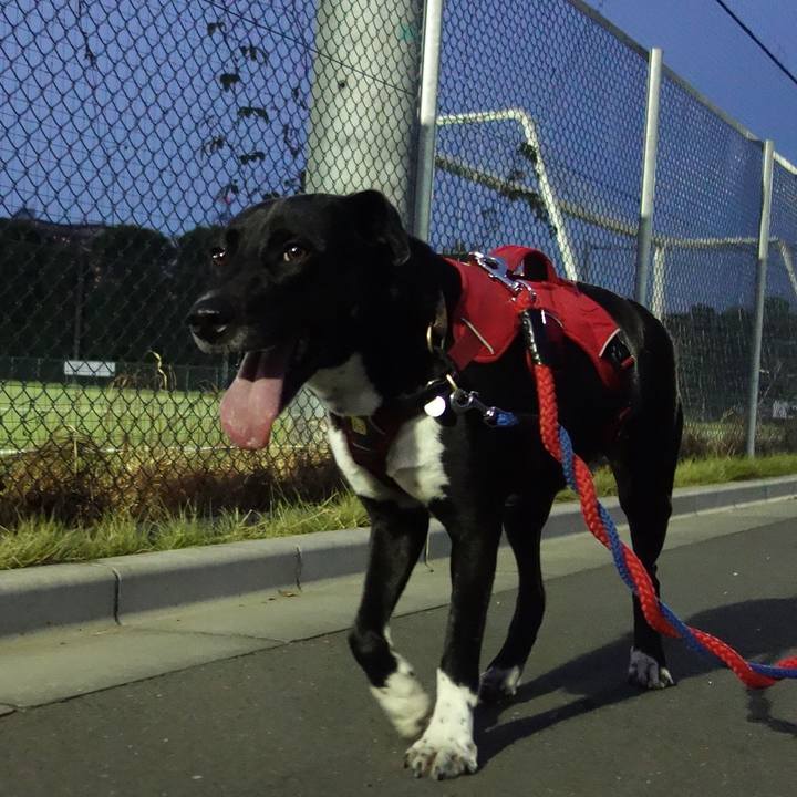 05a32ed7 19cd 4486 bb40 ef0f7e25db65 1598266046413