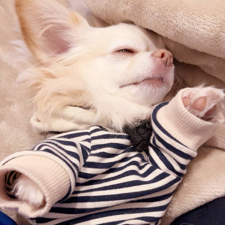 05a356c8 b8e9 4dde bada 8210f34da88f 1737727510285