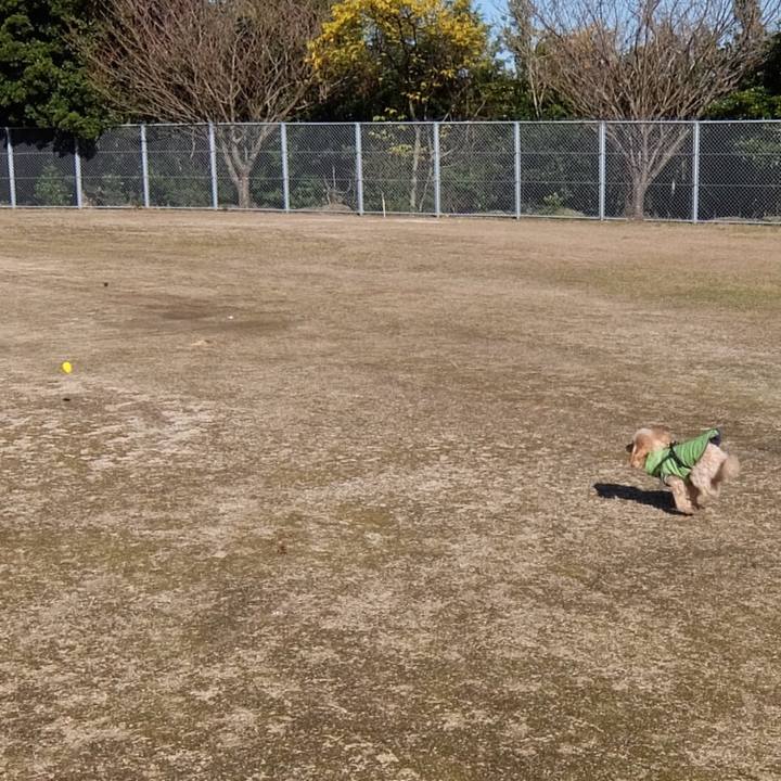 05a3ad87 9ce4 486d a289 6ce81db5cfea 1546658305363