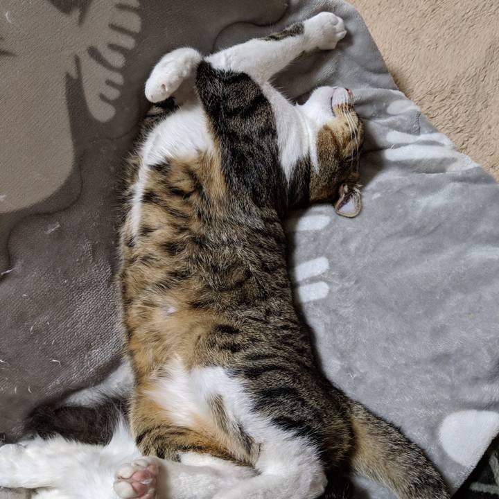 05a3b1ab df80 4129 8872 99b6f5aefb36 1555779486587