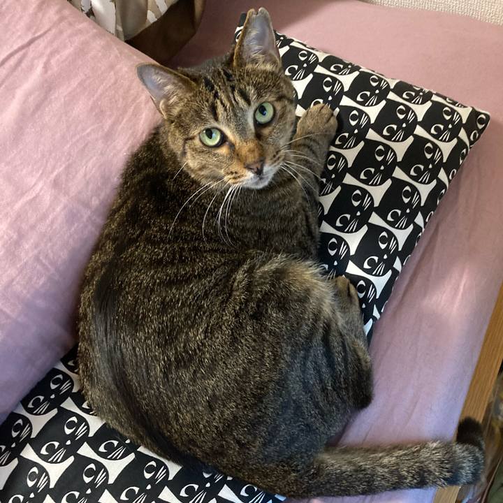 05a3bb94 9e53 4306 a4e8 268b206aa72e 1592018707042