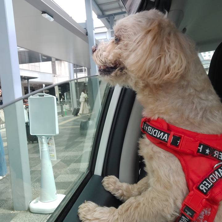 05a3d31f a559 4ea5 9a1d 195efaef46be 1682043561924