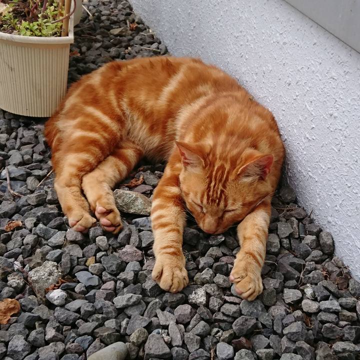 05a3e4eb 5840 4b4a 972b b433243641e2 1567863300913