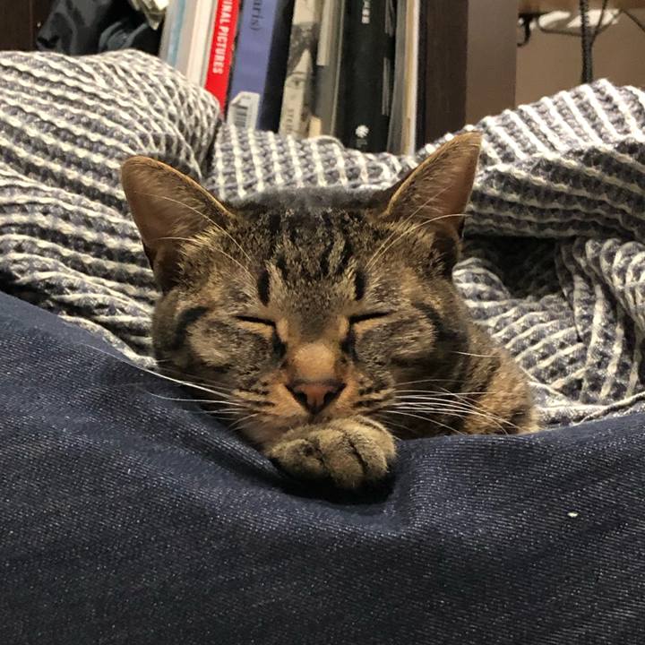 05a3f14e b876 4a4b bc04 51afbaa02a1f 1565107492888