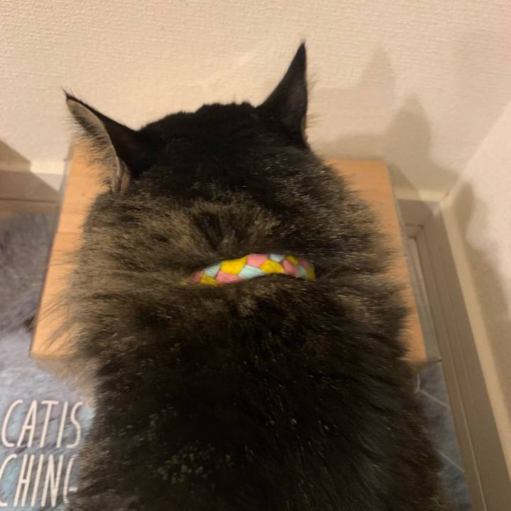 05a40cab 574d 4a24 b7b1 b9f7f25f0ca1 1671456839364