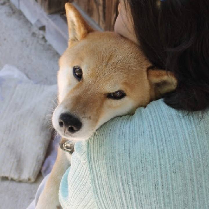 05a42319 b5d0 42e1 a62f ca0e26ca1127 1528335804770