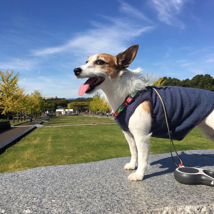 05a43723 6c9b 487a 8afc f086c8fed384 1572051282446