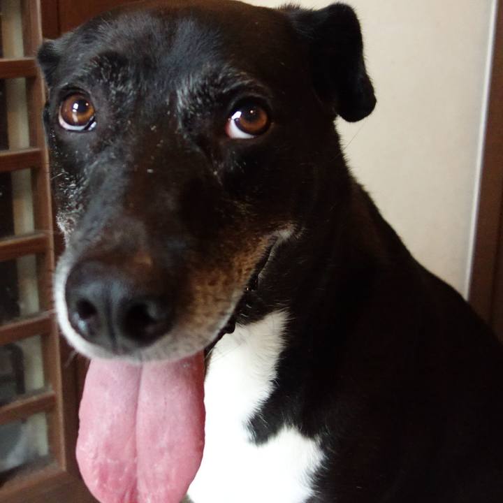 05a46edd a7fb 4d3f 91a4 ad24613dd83a 1725756091425