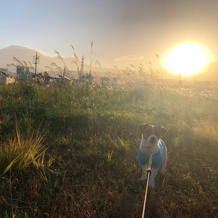 05a4758e 535a 4df6 9f10 8024a4974ded 1570964887058