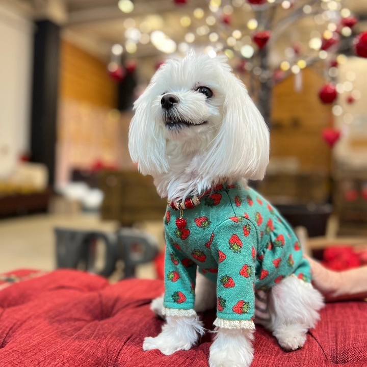 05a4be44 db89 41f3 b930 a6aa3117a7ca 1738668200250