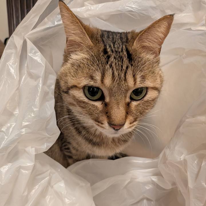 05a4db51 96f9 499d 81b8 f980e870337d 1769813172203