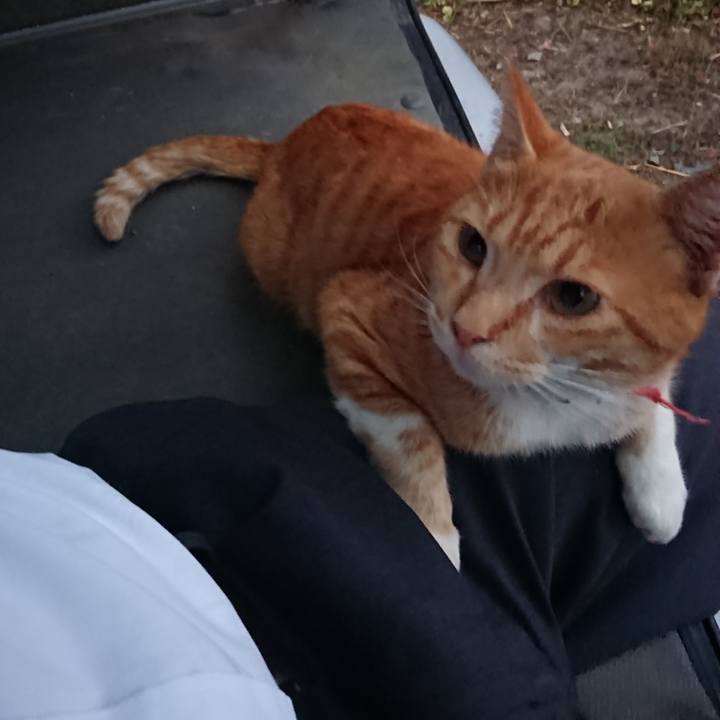 05a51d06 69ca 4599 aab0 fec3fbd80b6f 1570093301840