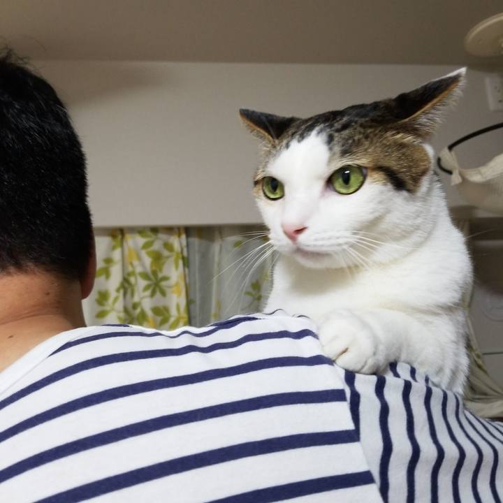 05a52b9b 1c0a 458a 85aa 78aede0590c5 1578576667230