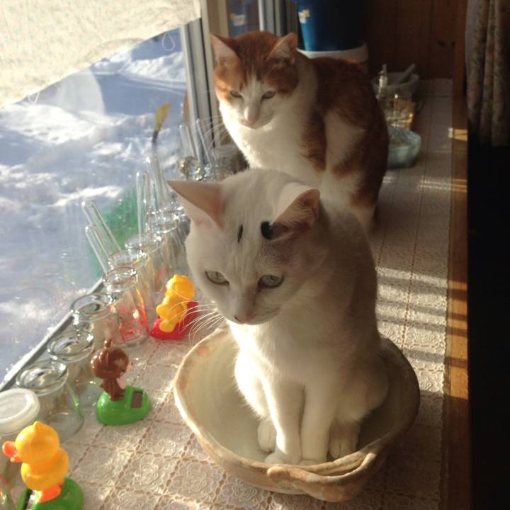 05a58cca 4046 4ccc 9928 33cec55e53f4 1513470469112