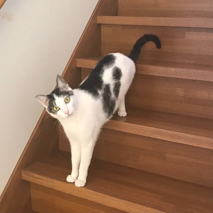 05a5ab64 02b8 4eeb be4a fb20e6ef27a3 1612599911812