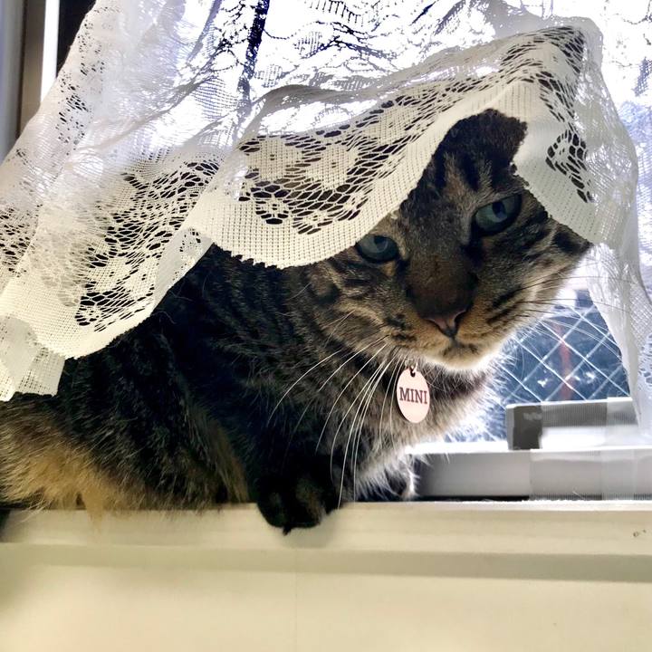 05a5b5aa 6974 49ca b189 36ac7f3abc4d 1607139624737