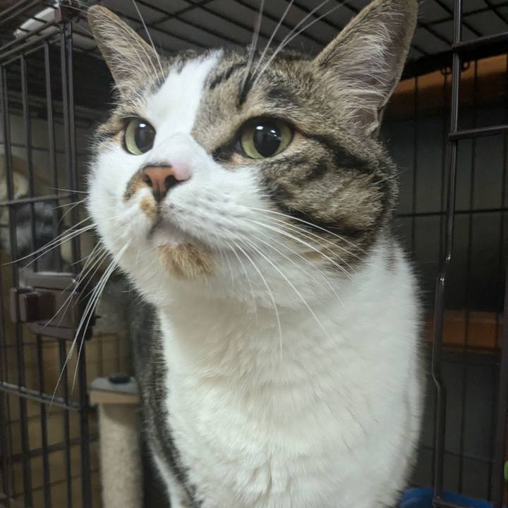 05a5d277 e757 419e b463 95a761e7947d 1719920603743