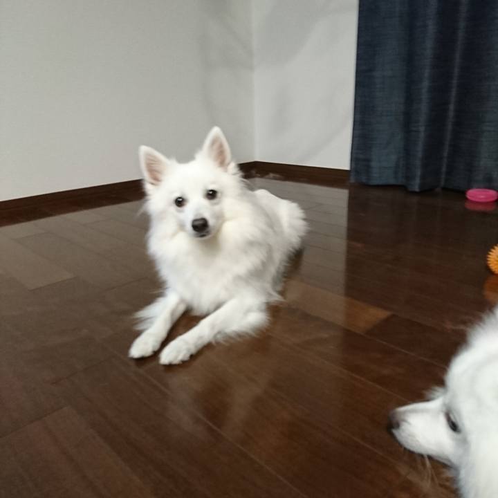 05a5fa95 0337 46c4 bd82 759653f5c91f 1566372638827