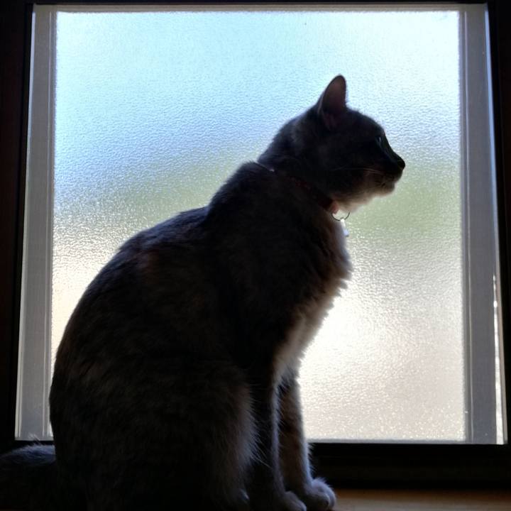 05a61d94 311e 4738 9a62 d67e86d6a1c5 1531186124236