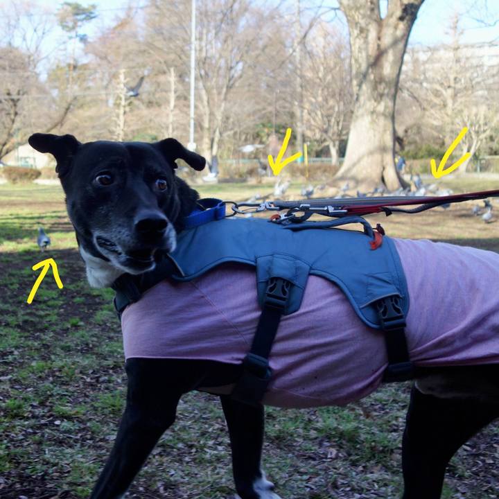 05a64827 d075 4756 8503 f37a4fcf9b0f 1710120731231