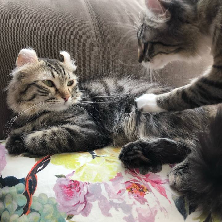 05a64bf8 191f 46cf 8cd1 a8ffc1413a2d 1574099119404