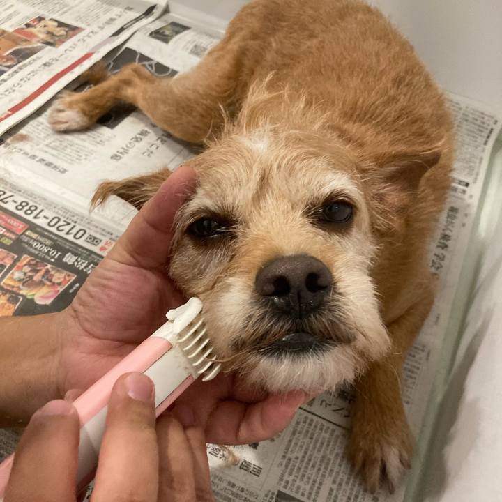 05a66455 317c 4f9f ab0b cbe8e12c493d 1697632100260