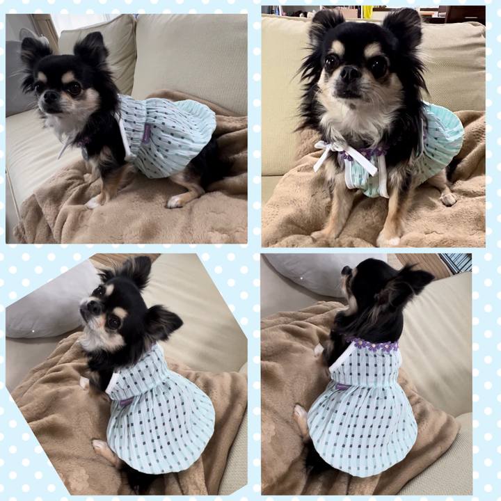 05a68361 bb47 4b07 ba84 9f30fef26f6e 1694472068091