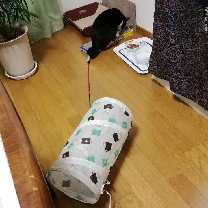 05a6d1a4 f9fb 41e3 86bc 5a1042c53c3f 1557744085493