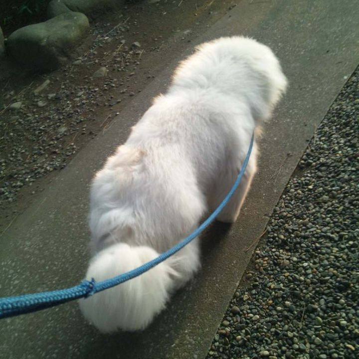 05a6d9e9 4aeb 4937 8234 68c59ec04336 1679603964825