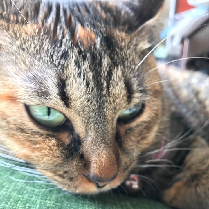 05a6e3a2 83b9 4bb0 b6fd 63be6025fea6 1509667430568