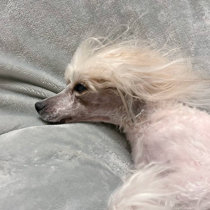 05a7004e 081a 4dc2 b7a1 848b80fee2fb 1769396097162