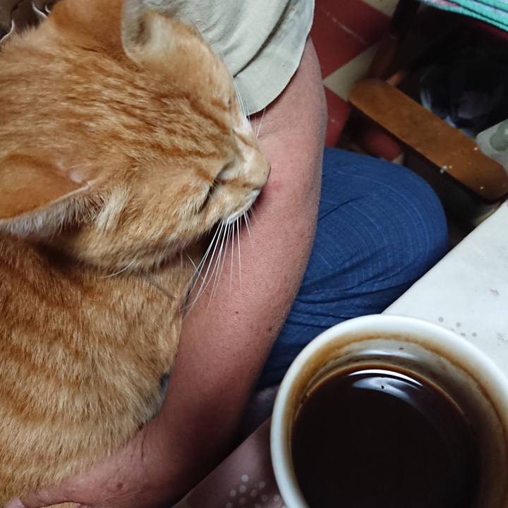 05a73648 6670 43cb 88b5 e78b1af708ee 1594583620368