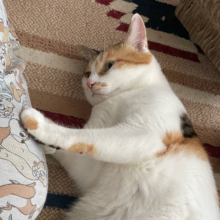 05a74b8d ce41 4aeb a59a 527dd662c2de 1662075097895