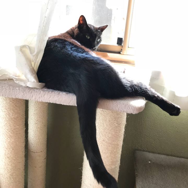 05a75de5 297d 4795 92e1 8a1ef2e6fb73 1523152105263