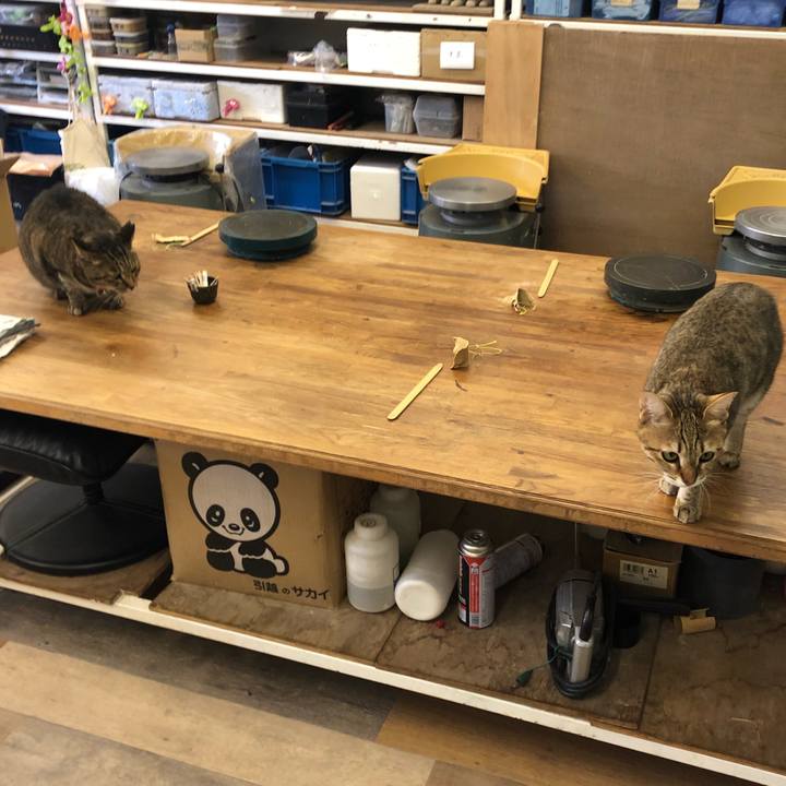 05a7a8bf 47d4 485d 85ed c669c53925fb 1610339887362