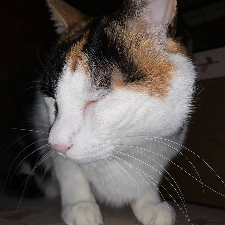 05a7bfae 0d71 4ddc a220 fe8209d5ed26 1606571296150