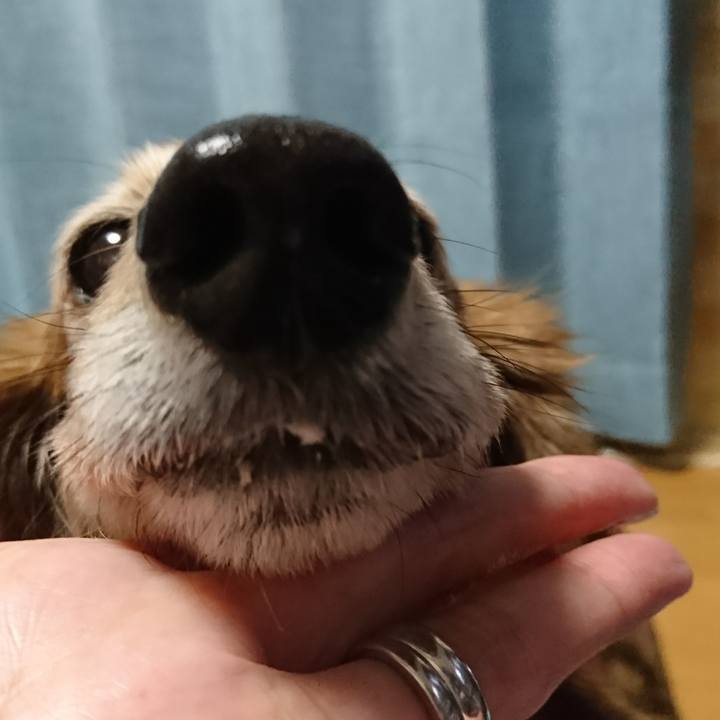 05a7dd0c a69f 4abc 8e23 b37361e7056a 1515574716558