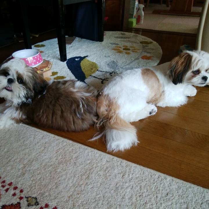 05a84120 ee5a 4052 aaed db868464fc70 1535614751931