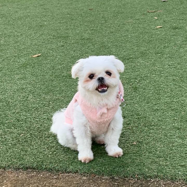 05a86caa e014 4d89 a0a7 4ec56a03f006 1669552805364