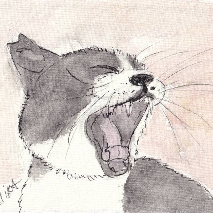 05a8970f 13fd 428c afd3 7a3e13600e2a 1763078359975