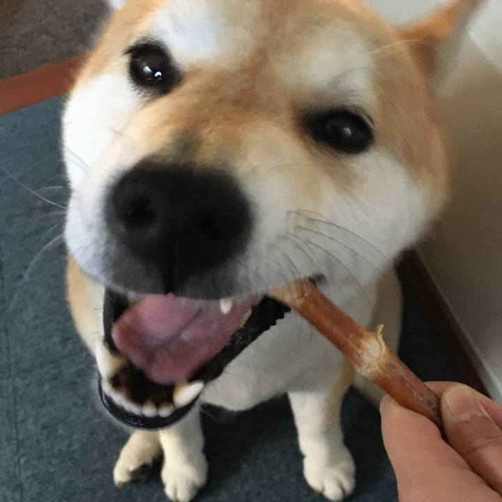 05a8a1b3 6345 4aaa b8a9 8b532f88be13 1581402006885