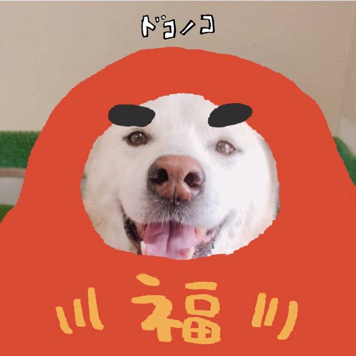 05a8d139 a9b1 4152 8781 eb97082c1758 1771929969284