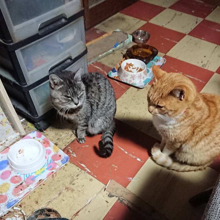 05a8d3ab 9270 4117 b093 b575c830bd31 1576698891941