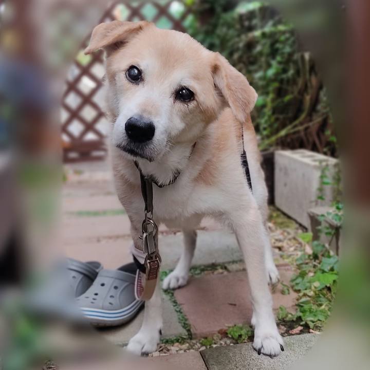 05a8d42b ae21 4283 b33e 62519b88351d 1664970549003