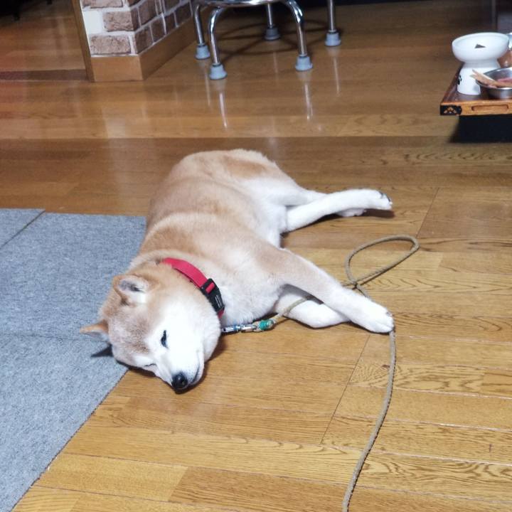 05a8ea42 298d 4716 859a 21367dad3666 1710027469178