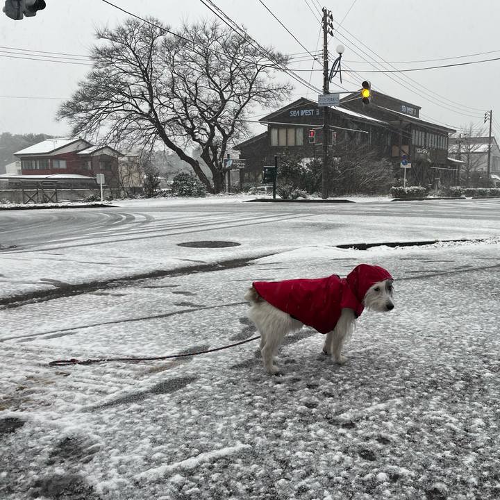 05a94029 699c 4181 a256 1a759101fd74 1709422005689