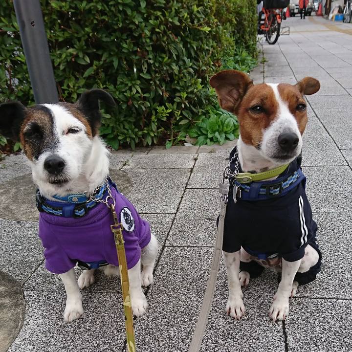 05a96396 673c 451f b194 6876506a1ff7 1603322290564