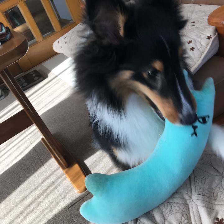 05a99cd2 e7b1 4a82 91de 6c8241742441 1522364984960