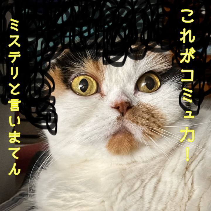 05a9a445 55fc 4b86 aed8 e200a7ed6b9f 1696424805420