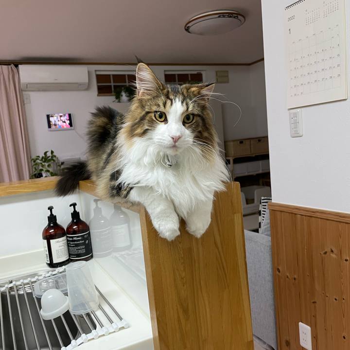 05a9e730 c932 44bc 8571 a49dff8f2cc5 1643141635721